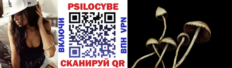 Галлюциногенные грибы Psilocybine cubensis  Шагонар 