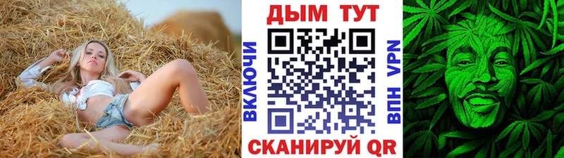 Канабис сатива  Шагонар 